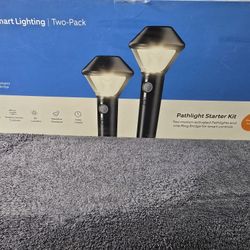 Smart Lighting 2-Watt Equivalent LED Black Motion Activated Outdoor Battery Path Area Light with Smart Lighting Bridge