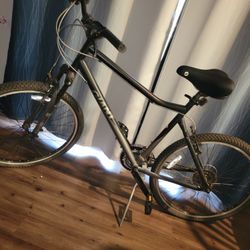 GIANT Adult Bike