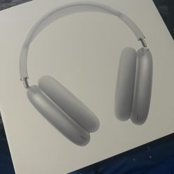Air pods pro max