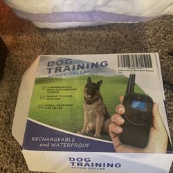 Dog Training Collar