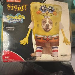Dog Costumes.