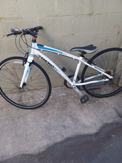 DIAMONDBACK size 700 speed 21 frame 15