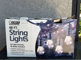 Feit Outdoor Weatherproof String Light Set, Black, 48 ft, 24 Light Sockets