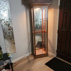 Wooden glass Shelf Case