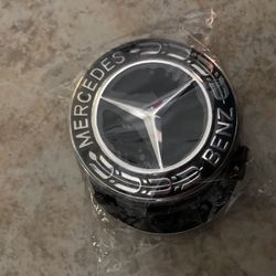 Center Wheel Caps (2)