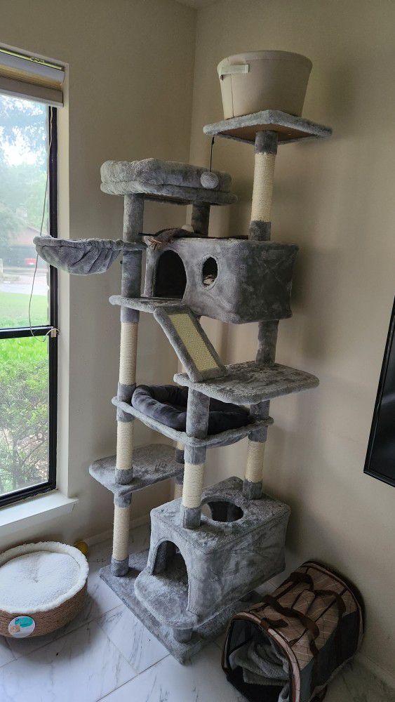 Cat Tower (Bramd New) 