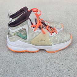 Kids Size 2y Nike LeBron XIX 19 Fast Food Grey Fog Kid Child Boy Boys Girl Girls Shoes Sneakers Shoe Sneaker Sz 2 Y 