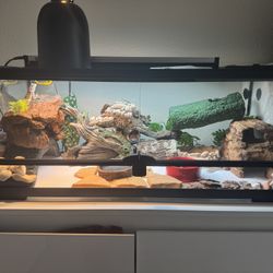 21 Gallon Open Door Tank 