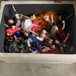 Footstool Full Of Kiddo Action Figure Dolls - Male And Female
