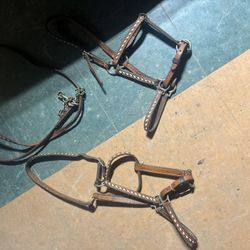 Buckstitched Halter And Matching Lead Chain