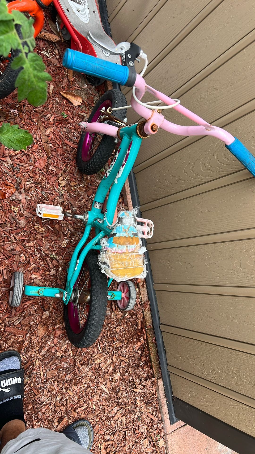 Kids Bike