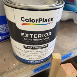 Paint White Small Can 