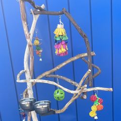 Small Bird Play Tree … Simple And Artsy / Funky … Great For Training ! Cockatiel Conure Ringneck Heaven !!