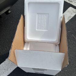 Cardboard Shipping Box With Styrofoam Box For Shipping Cold Or Safely
