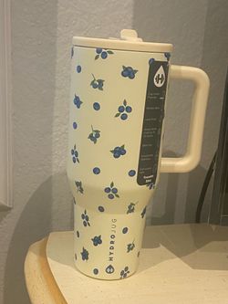 Hydrojug blueberries