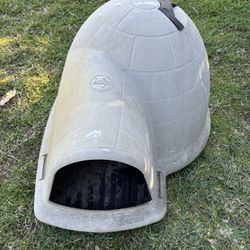 Dog House
