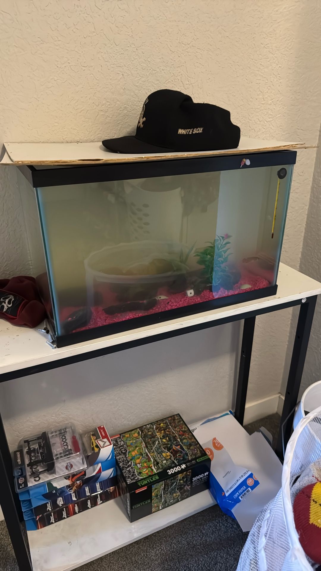10g Fish Tank