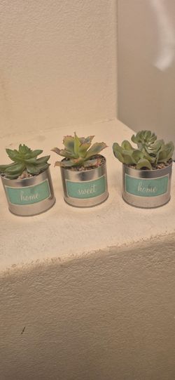 Set of 3  artificial Succulents in Mini Tin Planters