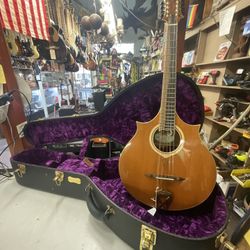 Gernandt 2010 Cittern