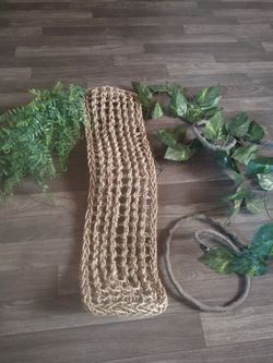 Bearded dragon hammock and accessories