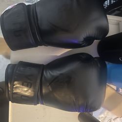Venum 14 Oz Boxing Gloves