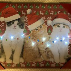 Brand New Kitten Cat Canvas Light Up Painting Christmas Lights Art Large 16” X 19” Inches Wall Decor $10 !!!ACCEPTING OFFERS!!!