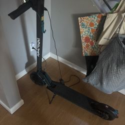 Gotrax Scooter Rival Scooter 