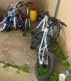 Bikes/bici