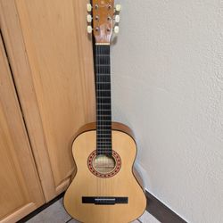 Acoustic Guitar 