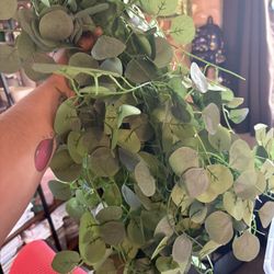 Fake Plants 