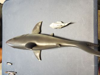 Shark 15