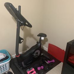  Schwinn 130 Journey 1.0 Upright Exercise Bike.