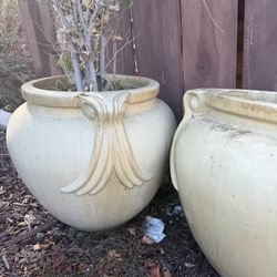 Pots For Plants