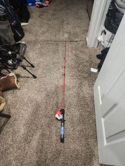 Fishing pole