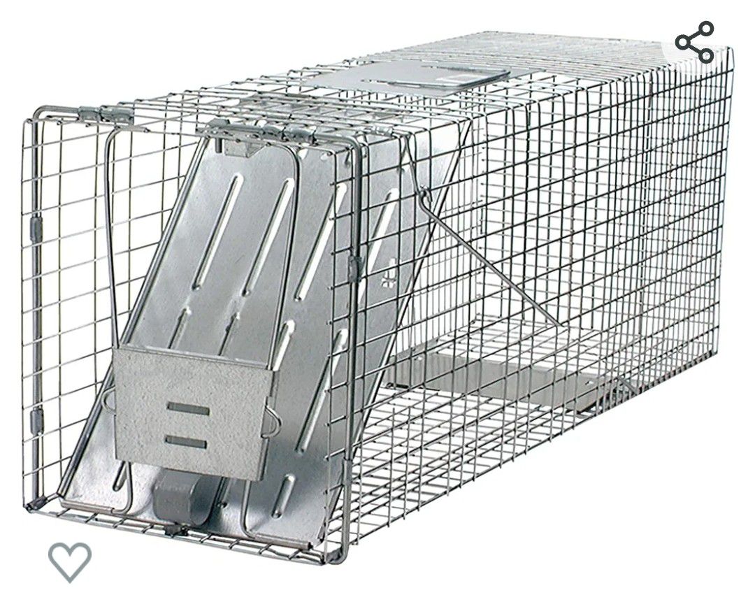 Large 1-Door Humane Catch and Release Live Animal Trap for Raccoons, Cats, Bobcats, Beavers, Small Dogs, Groundhogs, Opossums, Foxes, Armadillos, and 