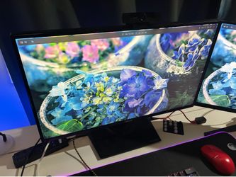 ASUS VG259QM 24” 280hz Monitor