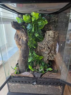 Reptile cage