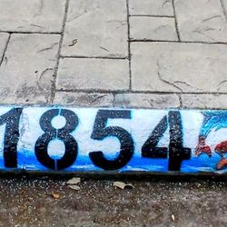 Curb Painting