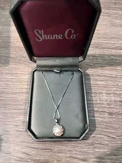 Silver Shane Co Necklace | Not Worn