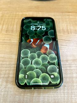 iPhone 13 Green