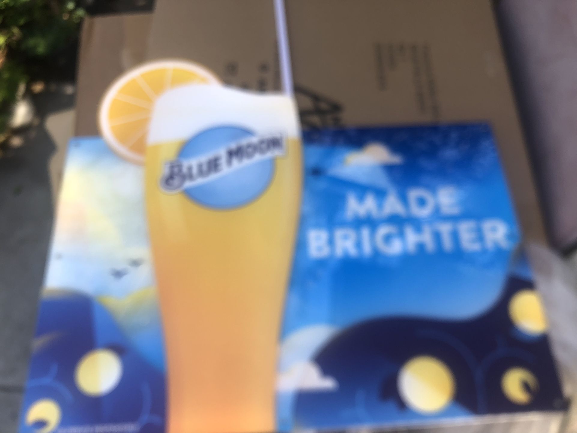 Bluemoon Led Light Sign