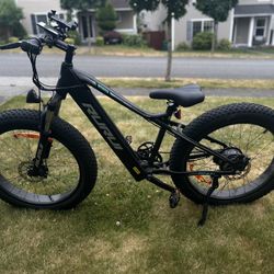 Electric Bike