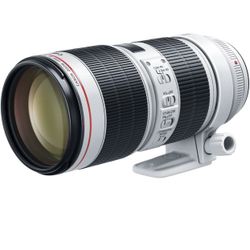 Canon EF 70-200mm f/2.8L IS