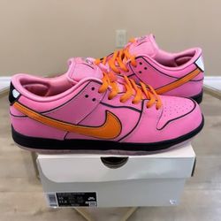 Nike Dunk Low Sb Blossom Ds Size 10