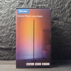 Govee RGBIC Floor Lamp