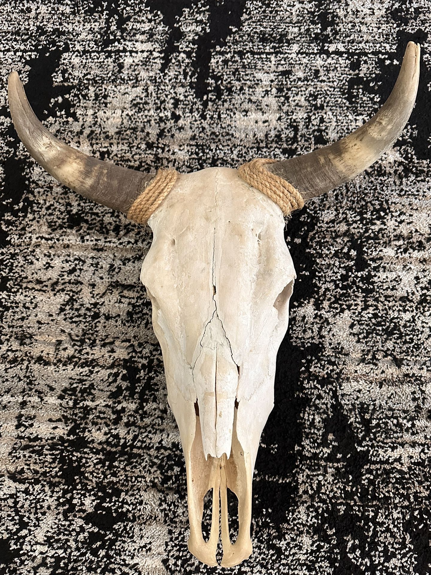 Western Steer Wall Decor