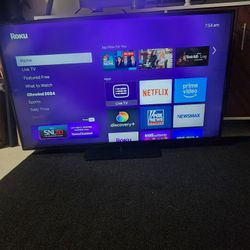 43 Inch Vizio HD TV dts Studio Sound