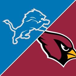 Detroit Lions Vs Arizona Cardinals Lower Level Row 9