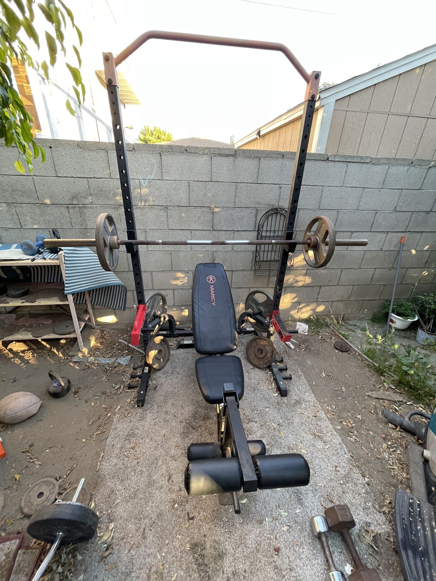 bench /squat rack /weights/pull up bar