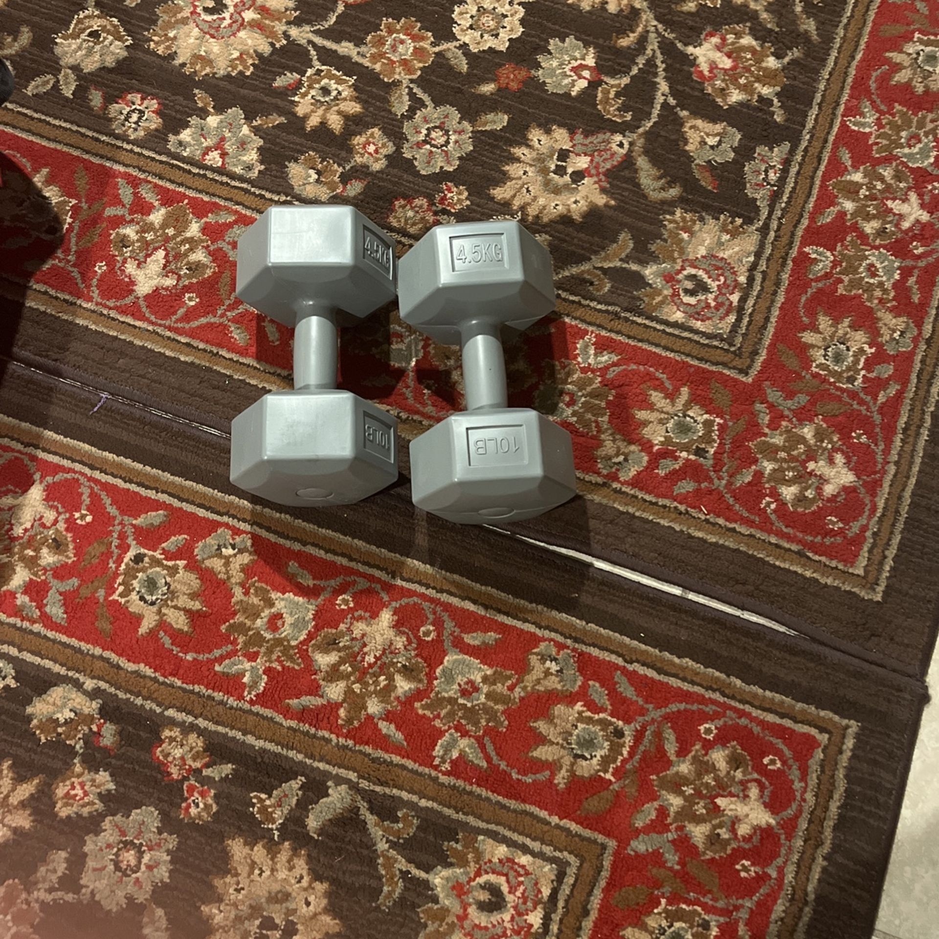 2 10lb/4.5kg Dumbbells